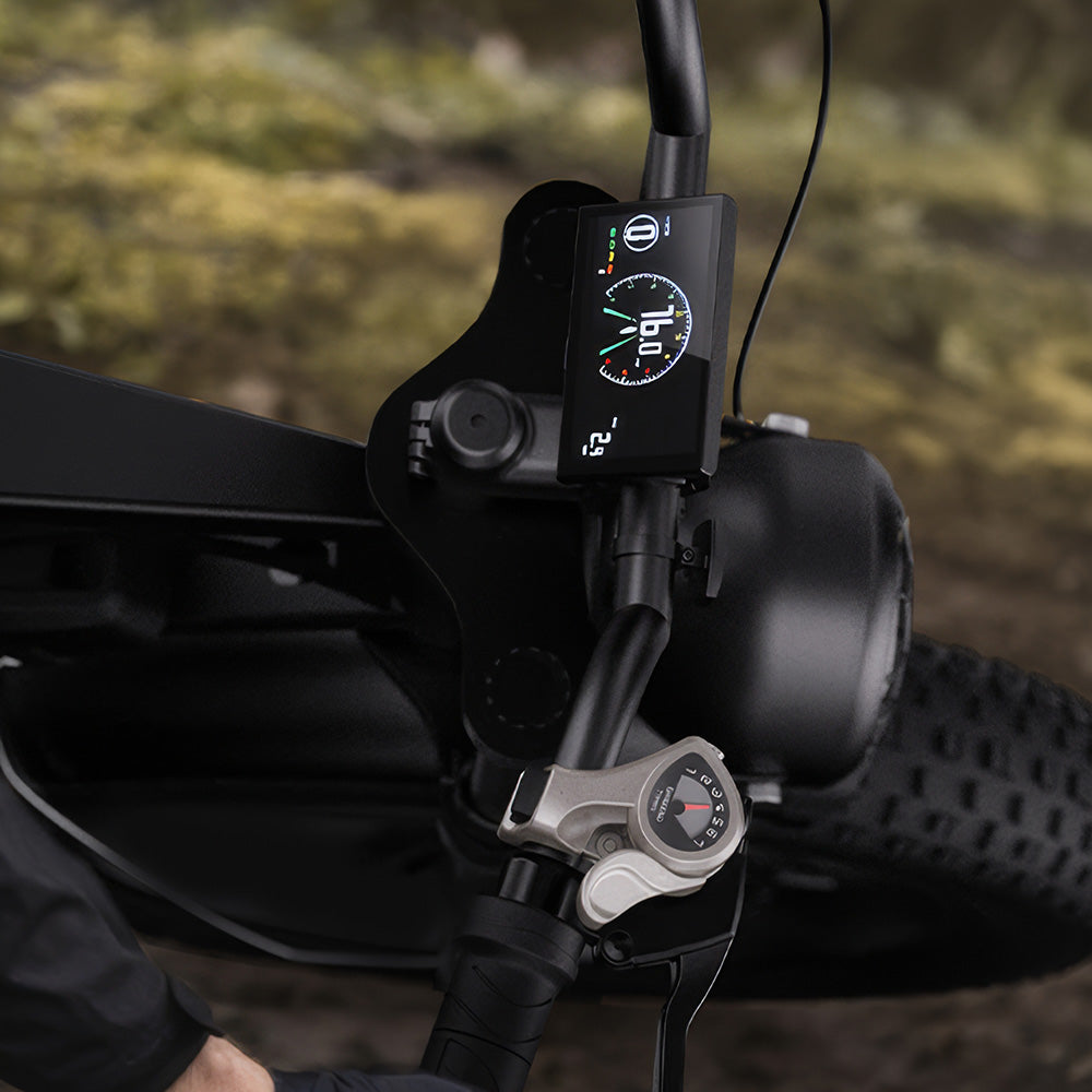 CycHunter Moped-Style Electric Bike
