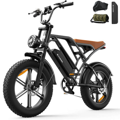 CycHunter Moped-Style E-Bike