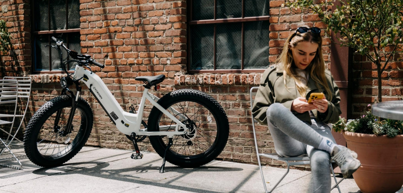 Ebike Rear Rack – CYCROWN