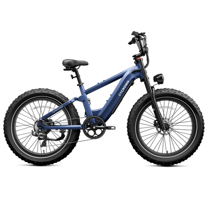 Roma All-Terrain Ebike