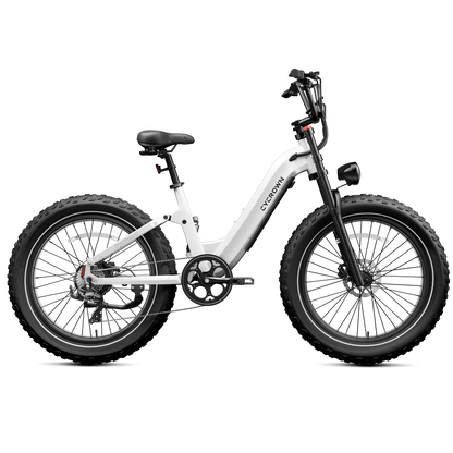 Roma All-Terrain Ebike