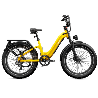 Roma All-Terrain Ebike