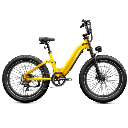 Roma All-Terrain Ebike