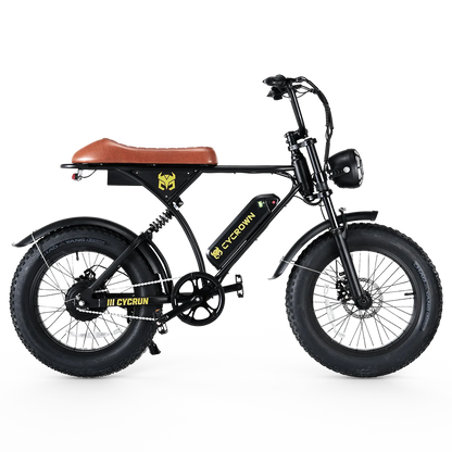 CycRun Vintage Moped Ebike