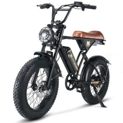 CycRun Vintage Moped Ebike