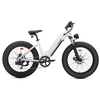 CycVerve Fat Tire Ebike