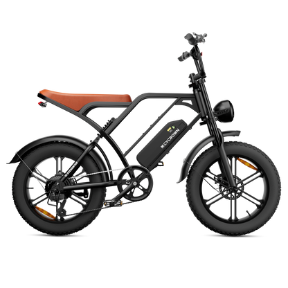 CycHunter Moped-Style Ebike
