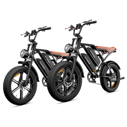 Combo Sale CycHunter * 2