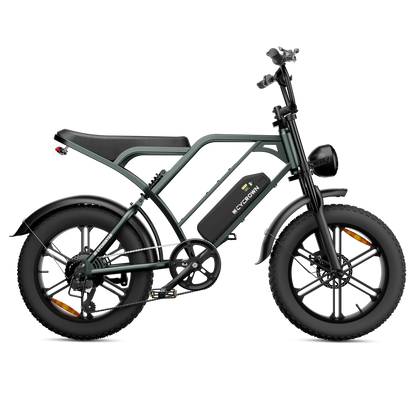 CycHunter Moped-Style Ebike