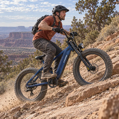 Roma All-Terrain Electric Bike