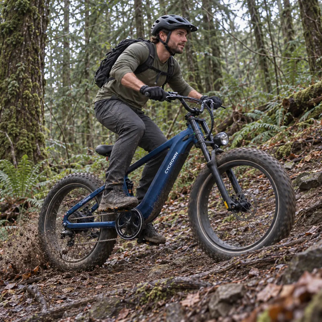 Roma All-Terrain Electric Bike