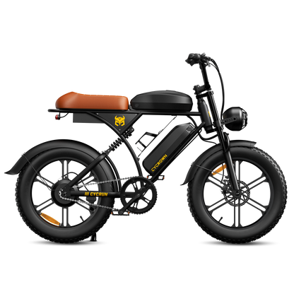 CycRun Electric Mini Dirt Bike