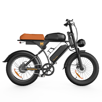 CycRun Vintage Moped Ebike