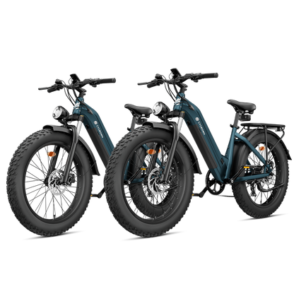 Combo Sale CycVerve * 2